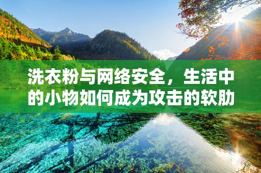 洗衣粉与网络安全，生活中的小物如何成为攻击的软肋？