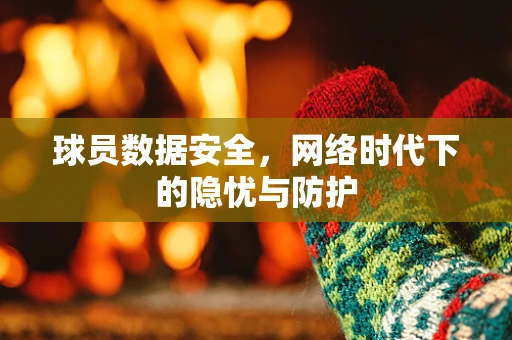 球员数据安全，网络时代下的隐忧与防护