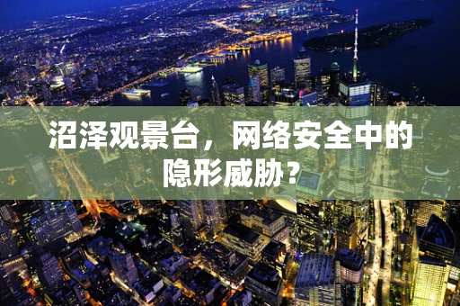 沼泽观景台，网络安全中的隐形威胁？