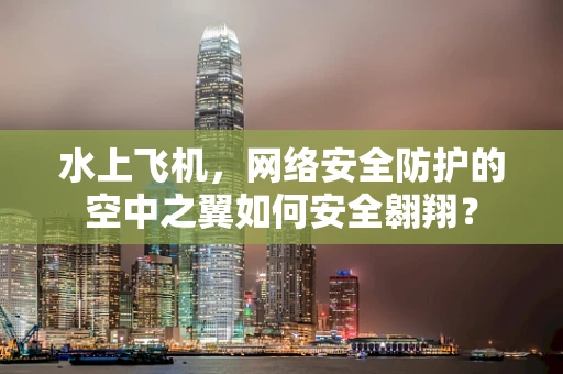 水上飞机，网络安全防护的空中之翼如何安全翱翔？