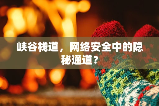 峡谷栈道，网络安全中的隐秘通道？