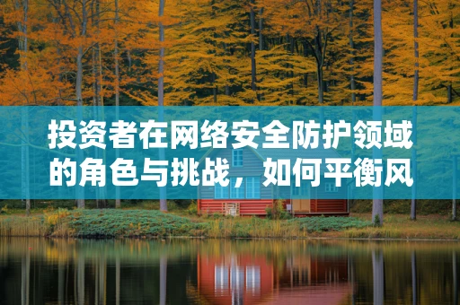 投资者在网络安全防护领域的角色与挑战，如何平衡风险与收益？