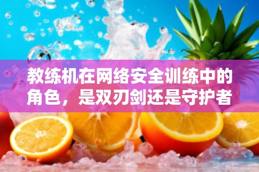 教练机在网络安全训练中的角色，是双刃剑还是守护者？