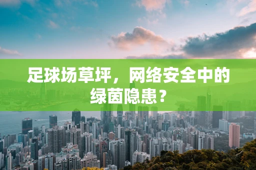 足球场草坪，网络安全中的绿茵隐患？