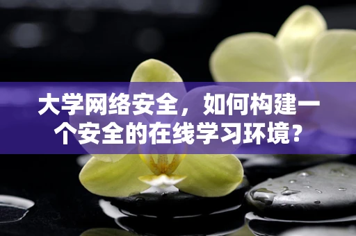 大学网络安全，如何构建一个安全的在线学习环境？