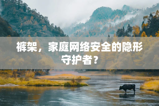 裤架，家庭网络安全的隐形守护者？