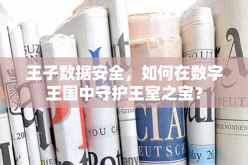 王子数据安全，如何在数字王国中守护王室之宝？