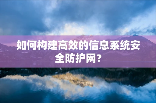 如何构建高效的信息系统安全防护网？