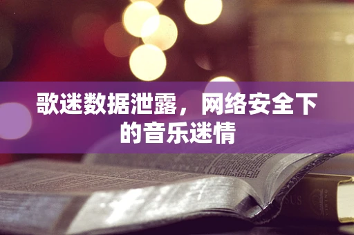 歌迷数据泄露，网络安全下的音乐迷情