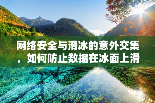 网络安全与滑冰的意外交集，如何防止数据在冰面上滑行？