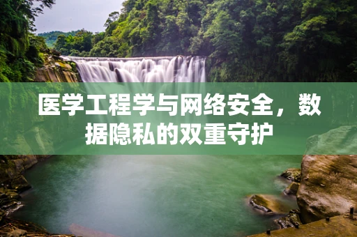 医学工程学与网络安全，数据隐私的双重守护