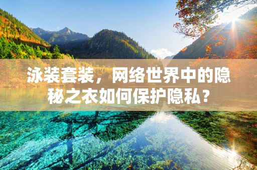 泳装套装，网络世界中的隐秘之衣如何保护隐私？