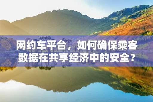 网约车平台，如何确保乘客数据在共享经济中的安全？