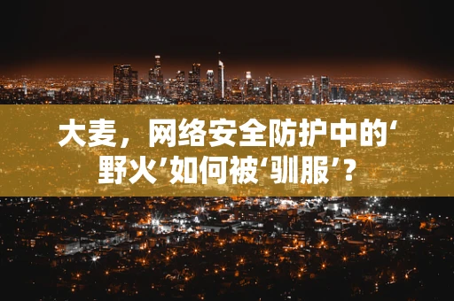 大麦，网络安全防护中的‘野火’如何被‘驯服’？