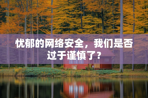 忧郁的网络安全，我们是否过于谨慎了？