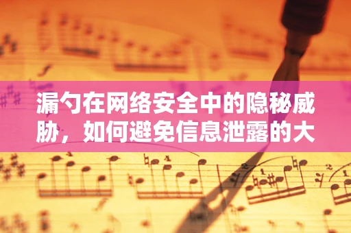 漏勺在网络安全中的隐秘威胁，如何避免信息泄露的大漏勺？