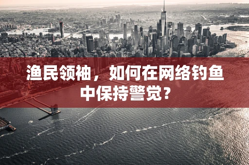 渔民领袖，如何在网络钓鱼中保持警觉？