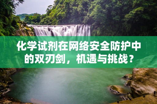 化学试剂在网络安全防护中的双刃剑，机遇与挑战？