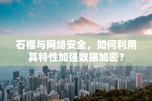 石榴与网络安全，如何利用其特性加强数据加密？