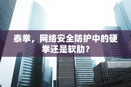 泰拳，网络安全防护中的硬拳还是软肋？