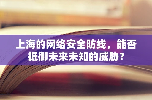 上海的网络安全防线，能否抵御未来未知的威胁？