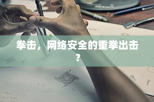 拳击，网络安全的重拳出击？