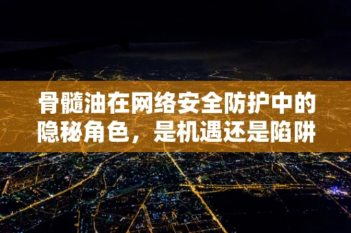 骨髓油在网络安全防护中的隐秘角色，是机遇还是陷阱？