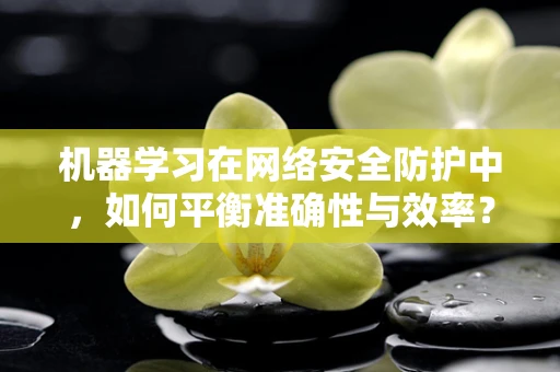 机器学习在网络安全防护中，如何平衡准确性与效率？