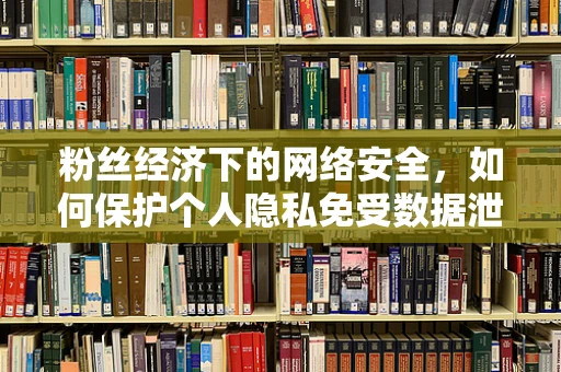 粉丝经济下的网络安全，如何保护个人隐私免受数据泄露之虞？
