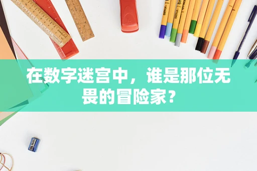 在数字迷宫中，谁是那位无畏的冒险家？