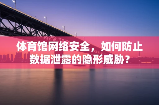体育馆网络安全，如何防止数据泄露的隐形威胁？