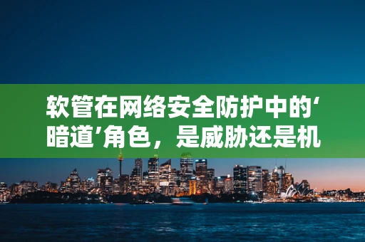 软管在网络安全防护中的‘暗道’角色，是威胁还是机遇？