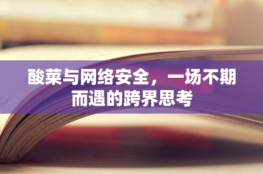 酸菜与网络安全，一场不期而遇的跨界思考