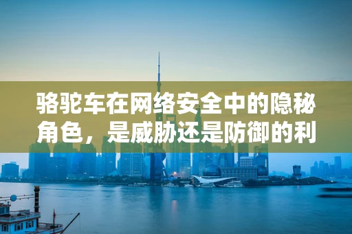 骆驼车在网络安全中的隐秘角色，是威胁还是防御的利器？