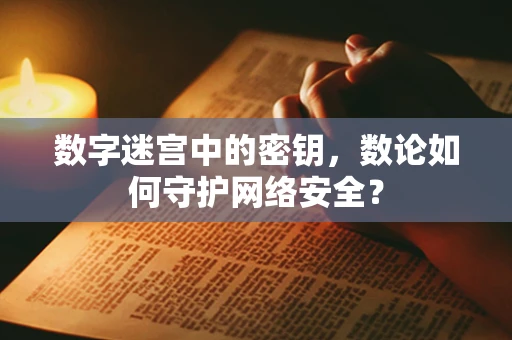 数字迷宫中的密钥，数论如何守护网络安全？
