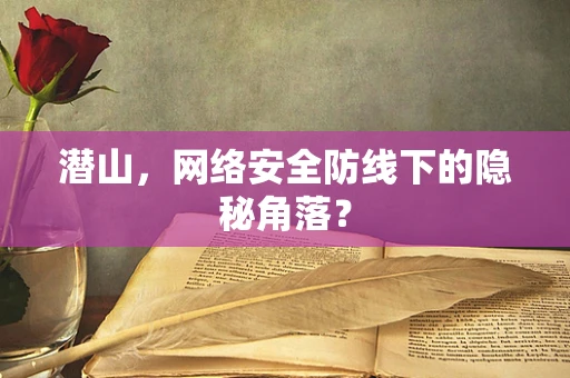 潜山，网络安全防线下的隐秘角落？