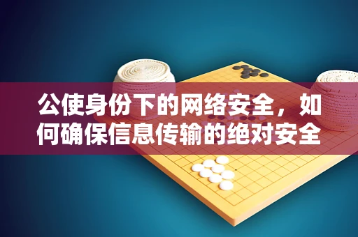 公使身份下的网络安全，如何确保信息传输的绝对安全？