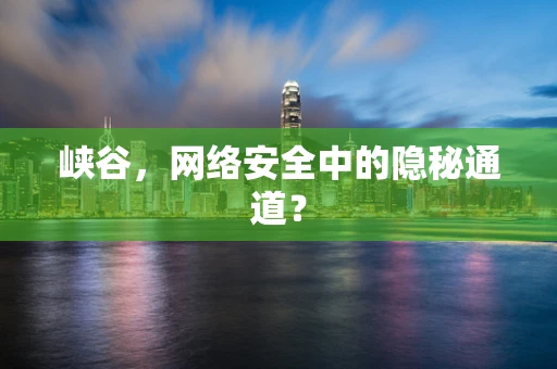 峡谷，网络安全中的隐秘通道？