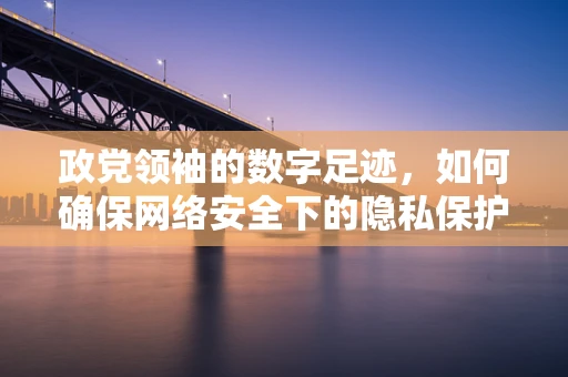 政党领袖的数字足迹，如何确保网络安全下的隐私保护？