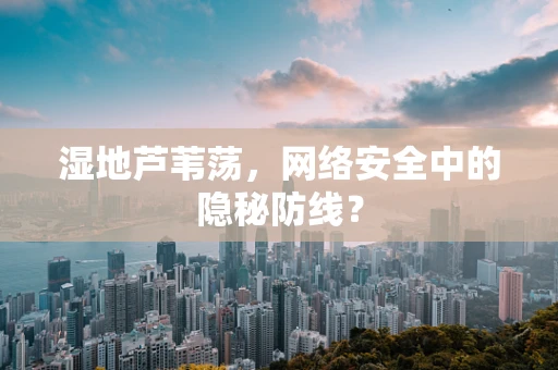 湿地芦苇荡，网络安全中的隐秘防线？