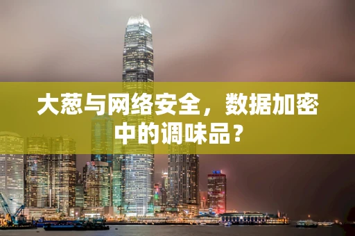 大葱与网络安全，数据加密中的调味品？