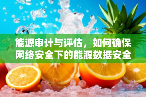 能源审计与评估，如何确保网络安全下的能源数据安全无虞？