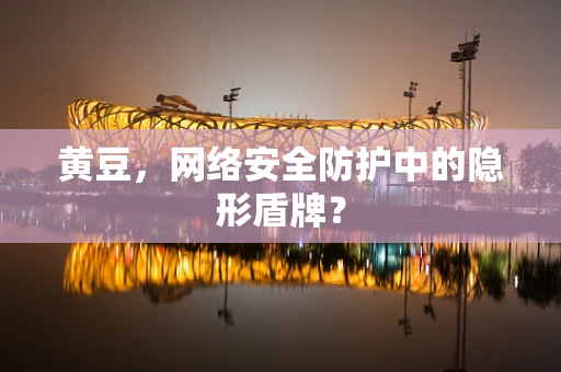 黄豆，网络安全防护中的隐形盾牌？