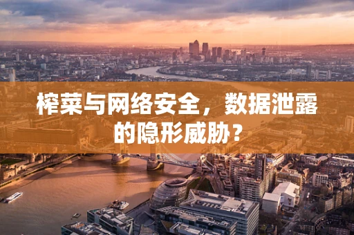 榨菜与网络安全，数据泄露的隐形威胁？