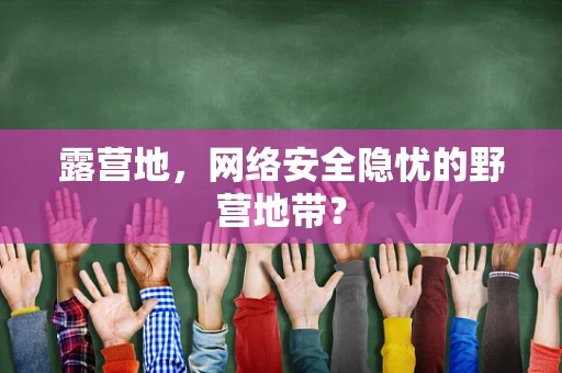 露营地，网络安全隐忧的野营地带？