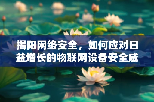 揭阳网络安全，如何应对日益增长的物联网设备安全威胁？