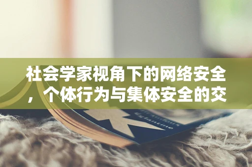 社会学家视角下的网络安全，个体行为与集体安全的交织