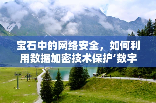 宝石中的网络安全，如何利用数据加密技术保护‘数字宝石’？
