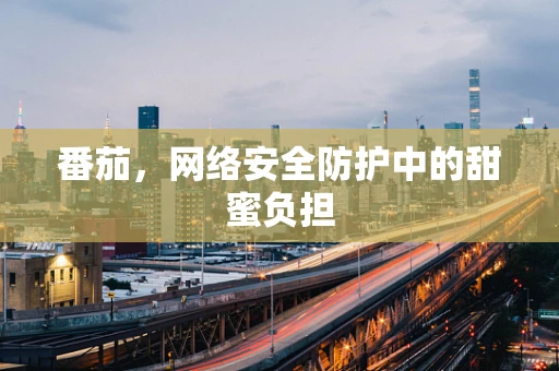 番茄，网络安全防护中的甜蜜负担