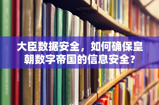 大臣数据安全，如何确保皇朝数字帝国的信息安全？